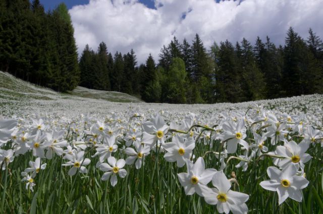 10 maj 12 - foto