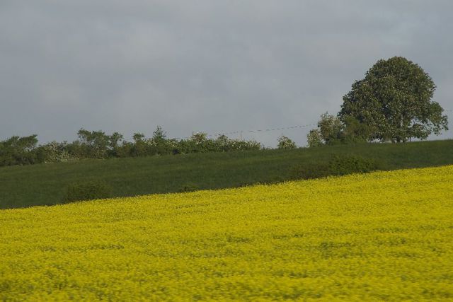 16, maj 12 - foto