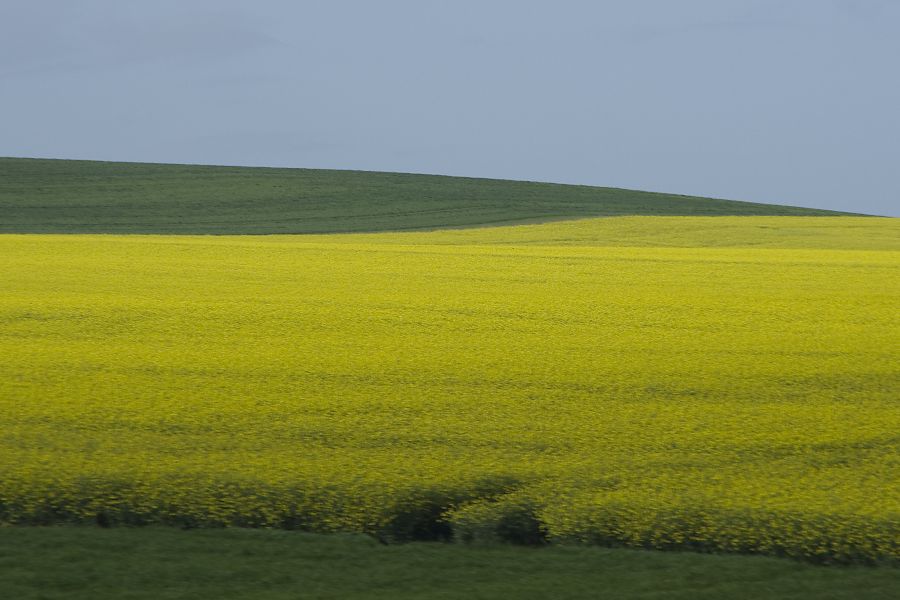 16, maj 12 - foto povečava