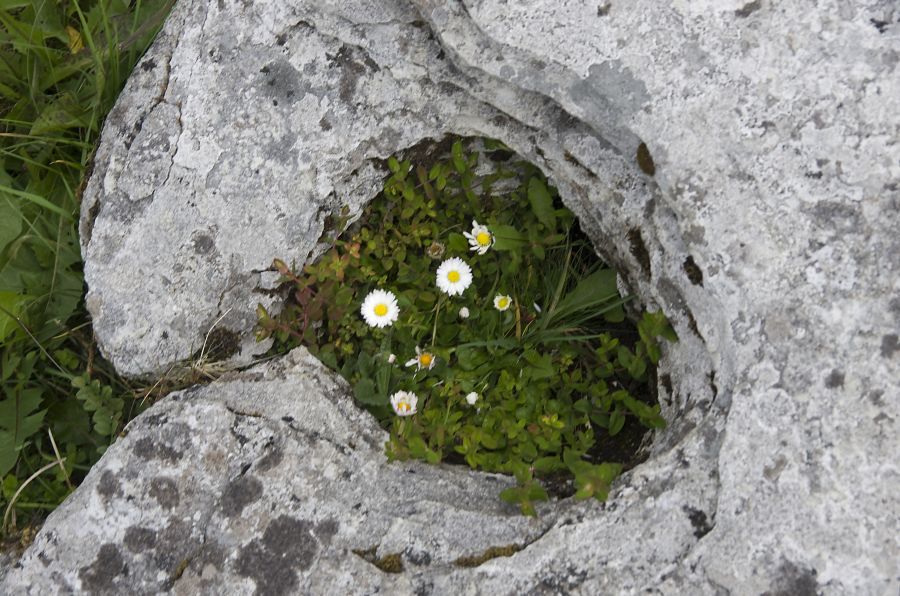 22. maj 12 - foto povečava