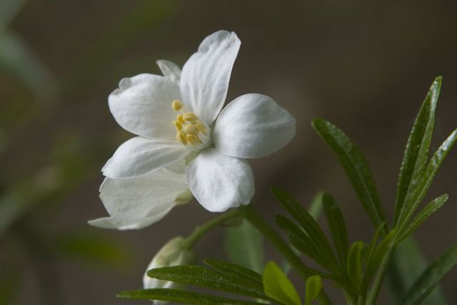 25. maj 12 - foto