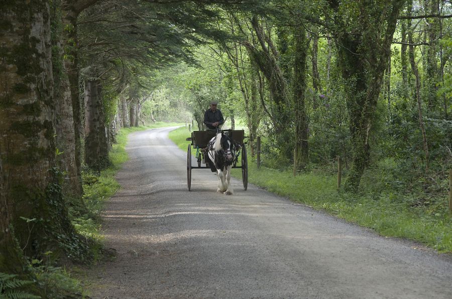 25. maj 12 - foto povečava