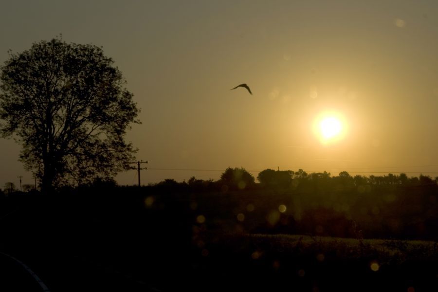 26. maj 12 - foto povečava