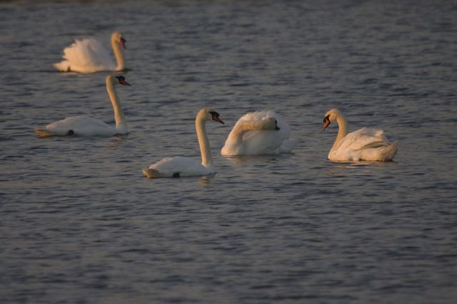 27. maj 12 - foto