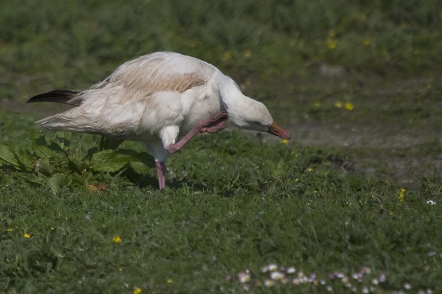 27. maj 12 - foto povečava