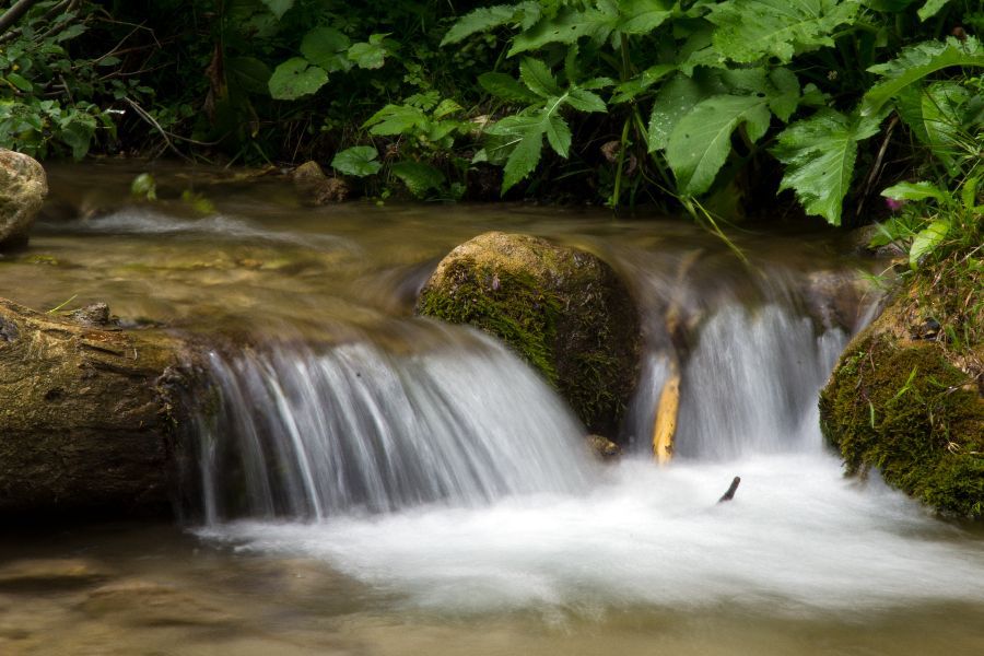 24. julij 12 - foto povečava