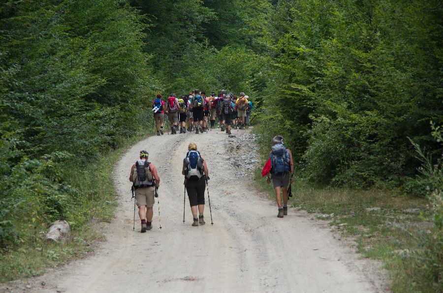 27. julij 12 - foto povečava