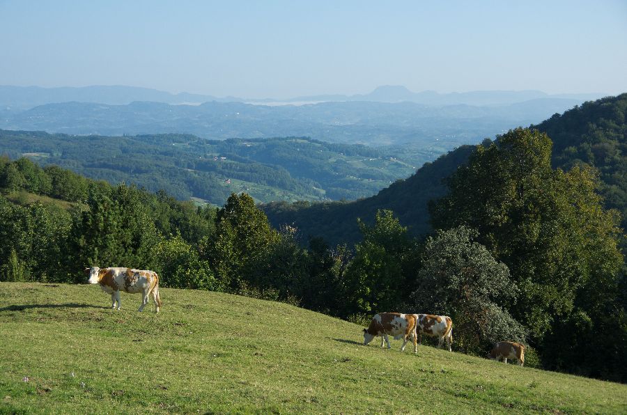 17. september 12 - foto povečava