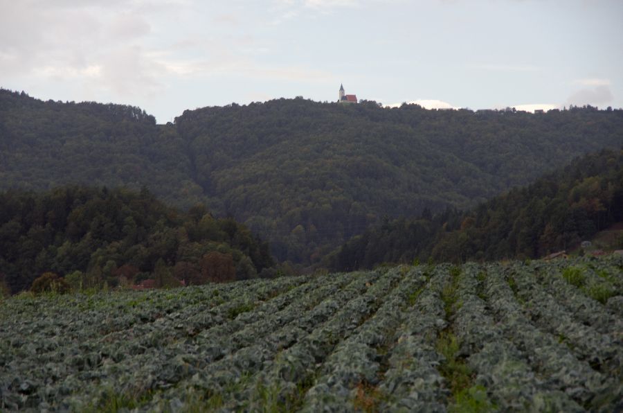 27. september 12 - foto povečava