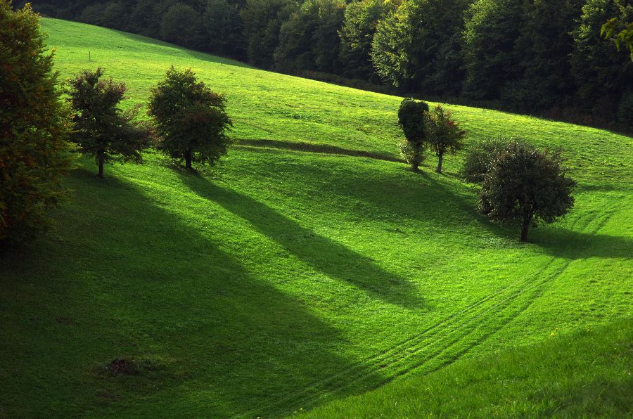 27. september 12 - foto povečava