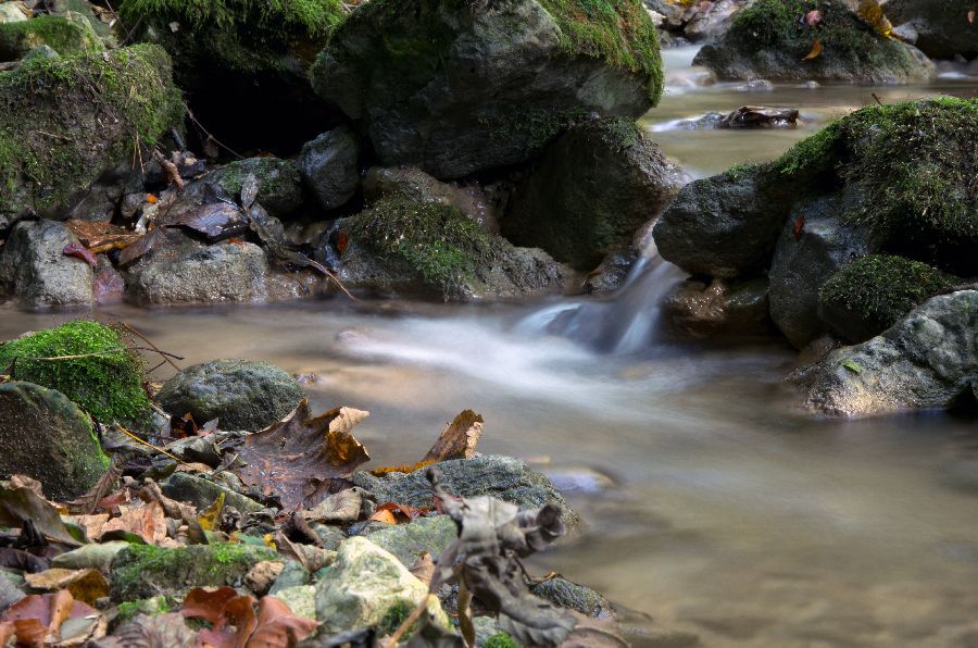 9. oktober 12 - foto povečava