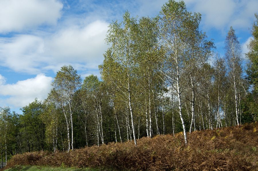 16. oktober 12 - foto povečava