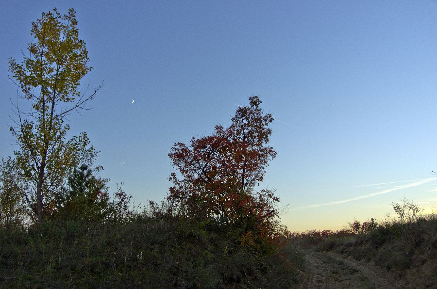 20. oktober 12 - foto povečava