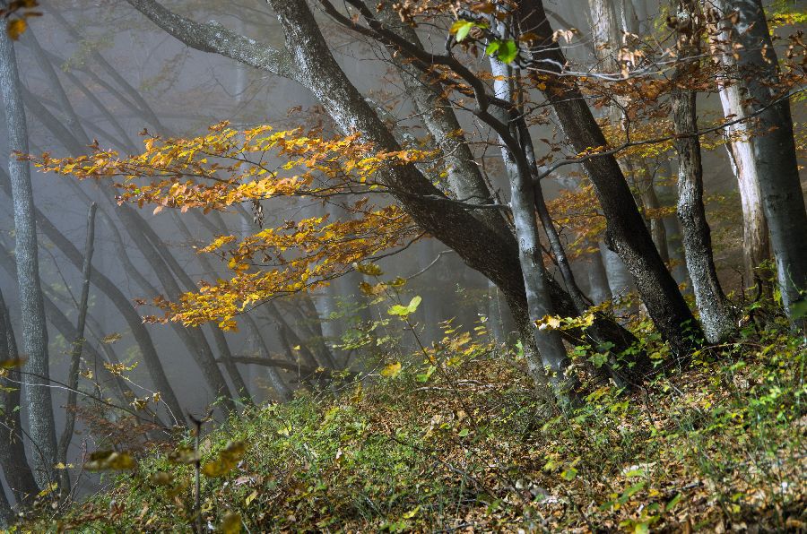 24. oktober 12 - foto povečava