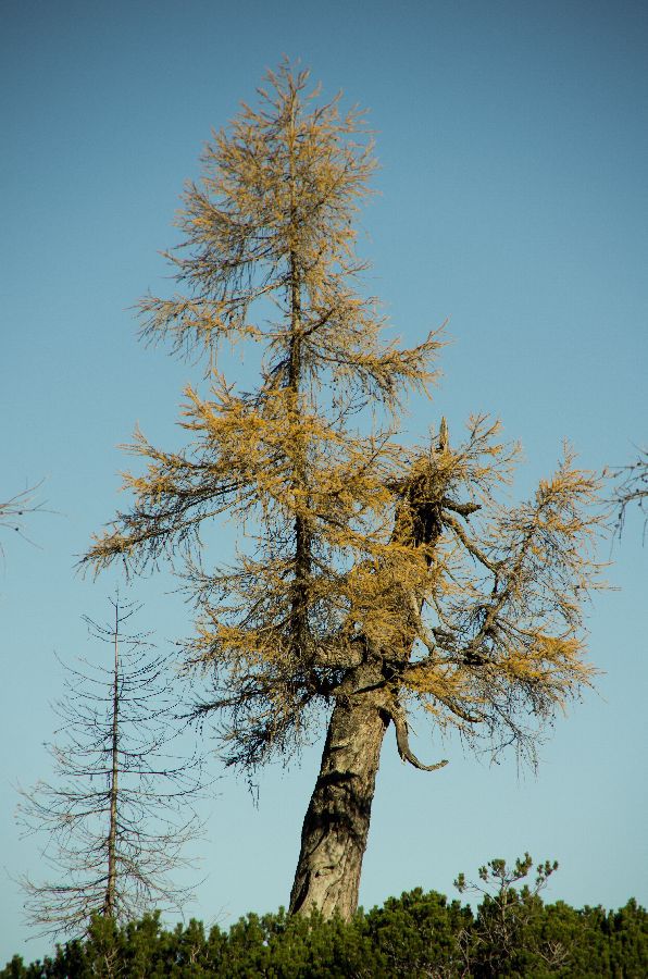 22. oktober 12 - foto povečava