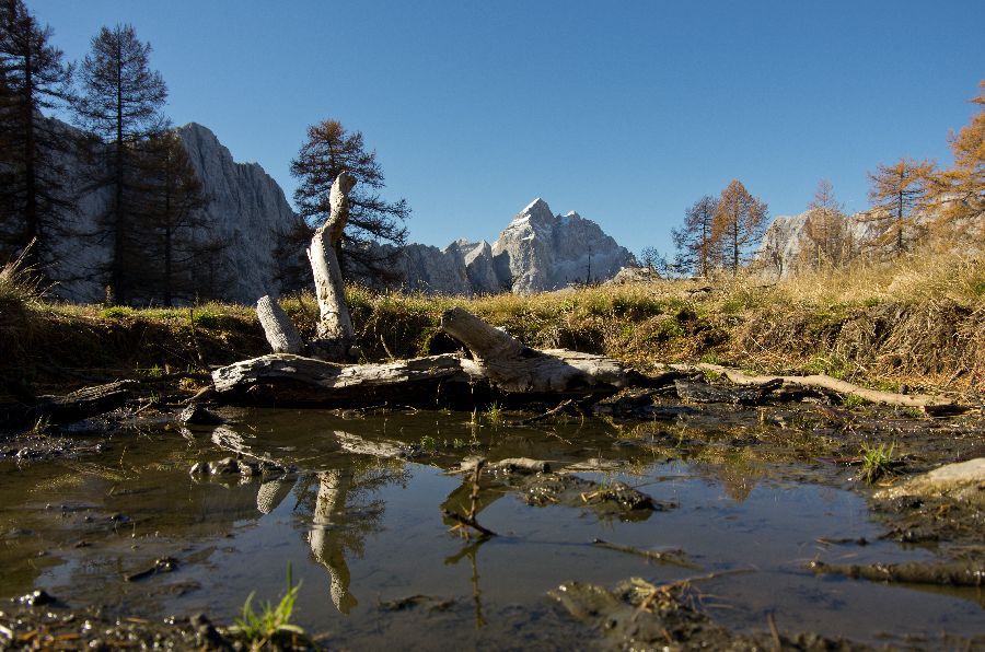 22. oktober 12 - foto povečava