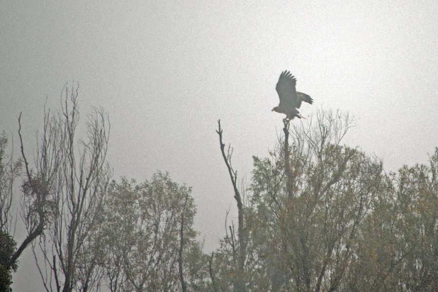 26. oktober 12 - foto povečava