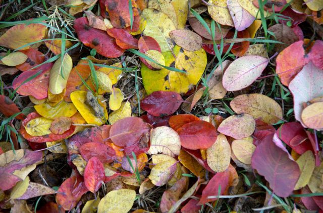 27. oktober 12 - foto