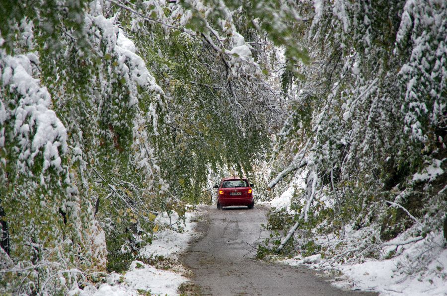 29. oktober 12 - foto povečava