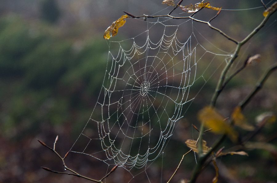 7. november 12 - foto povečava