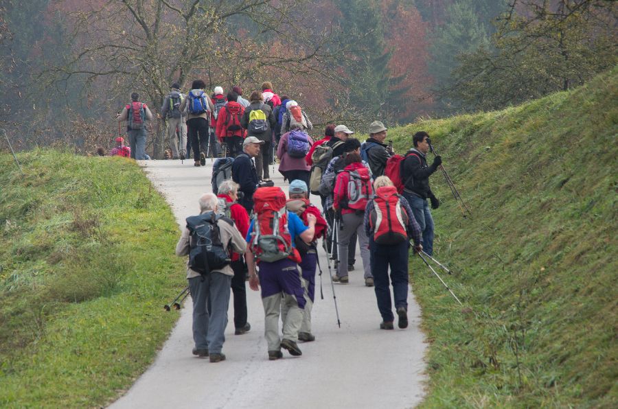 10. november 12 - foto povečava