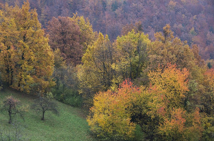 10. november 12 - foto povečava