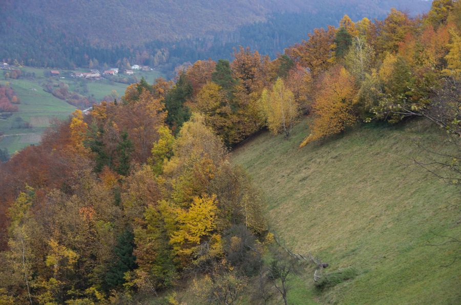 10. november 12 - foto povečava