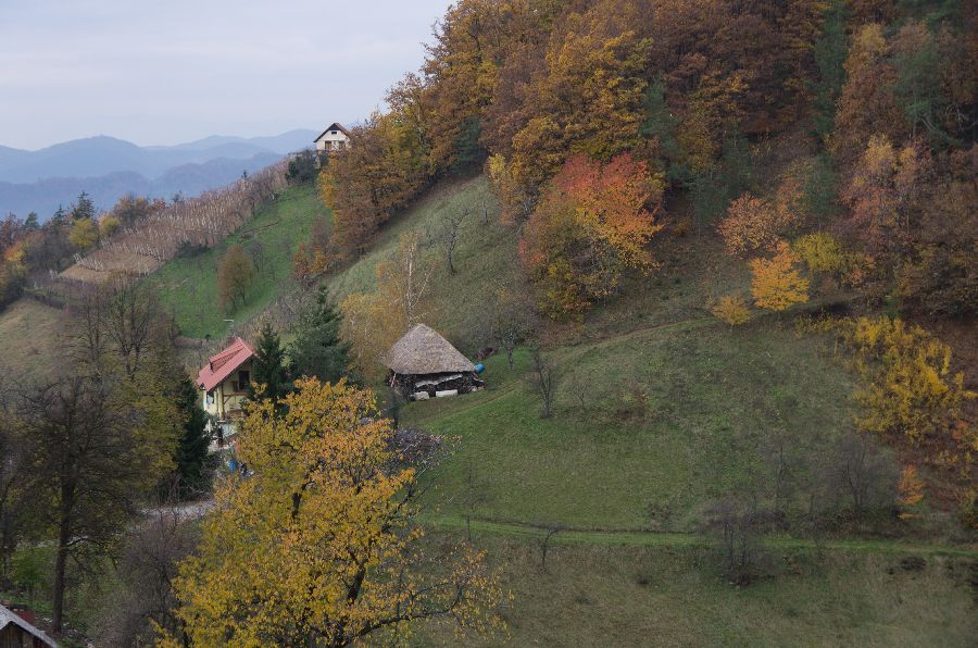 10. november 12 - foto povečava