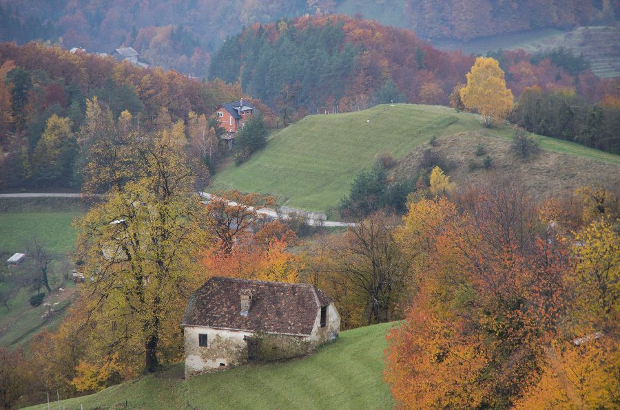 10. november 12 - foto povečava