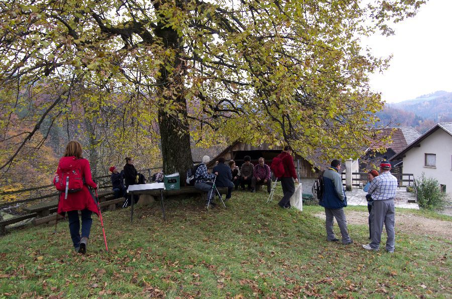 10. november 12 - foto povečava