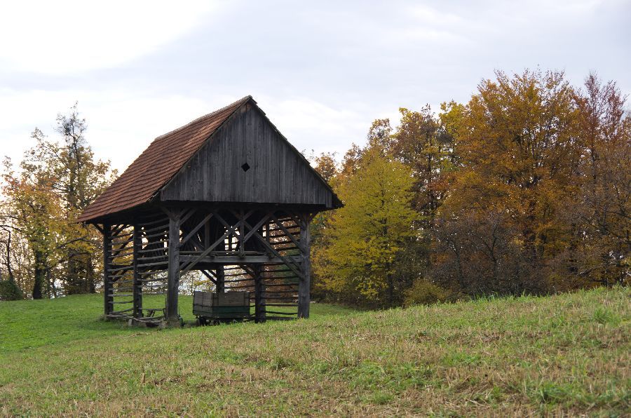 10. november 12 - foto povečava