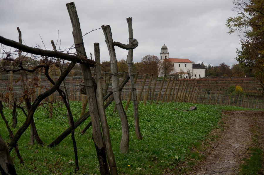 12. november 12 - foto povečava