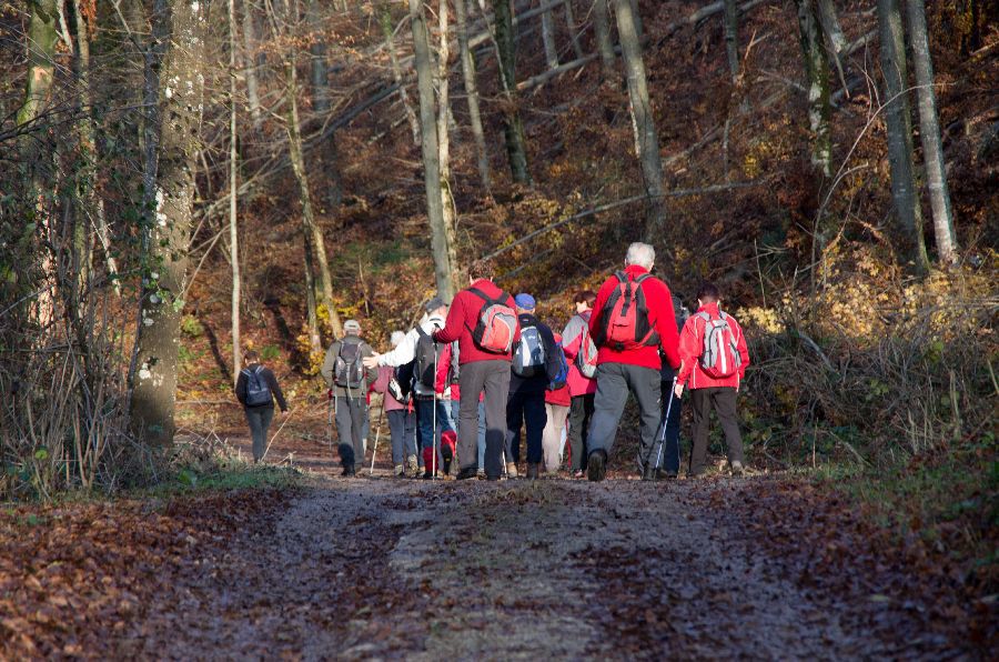 14. november 12 - foto povečava