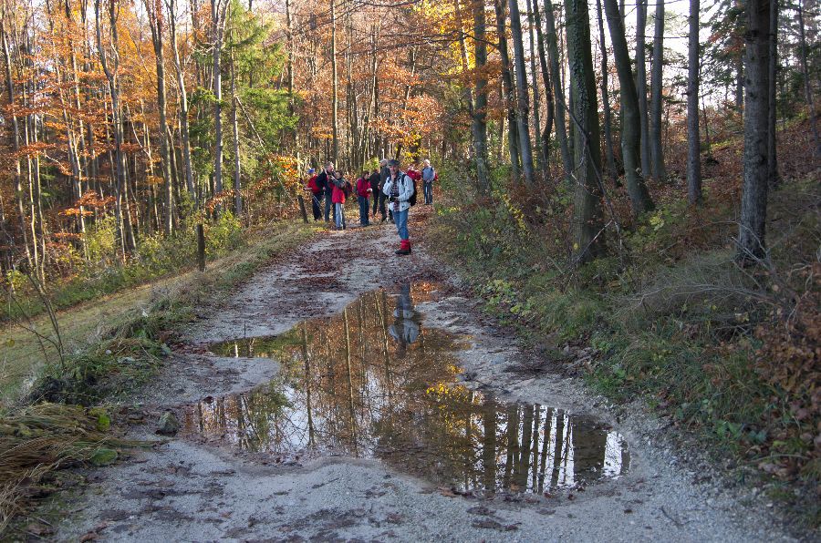 14. november 12 - foto povečava