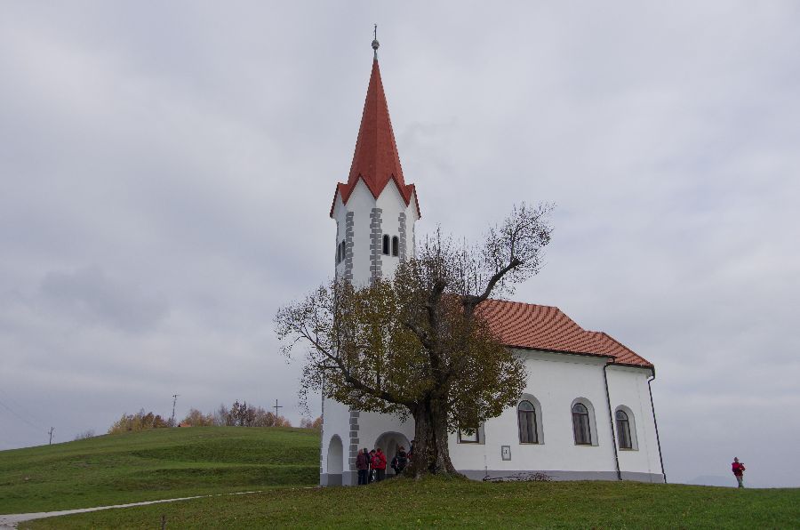 14. november 12 - foto povečava