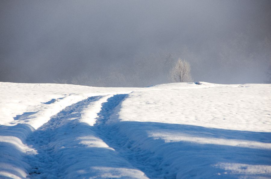 6. december 12 - foto povečava