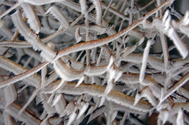 18. december 12 - foto