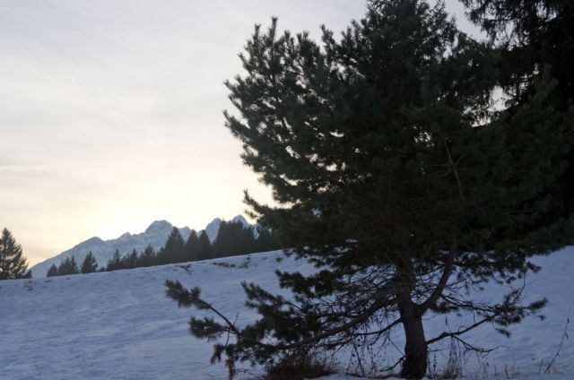 9. januar 13 - foto