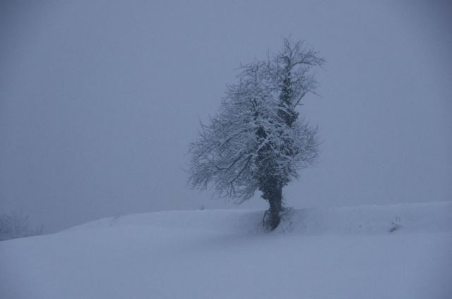 14. januar 13 - foto