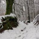 24. januar 13