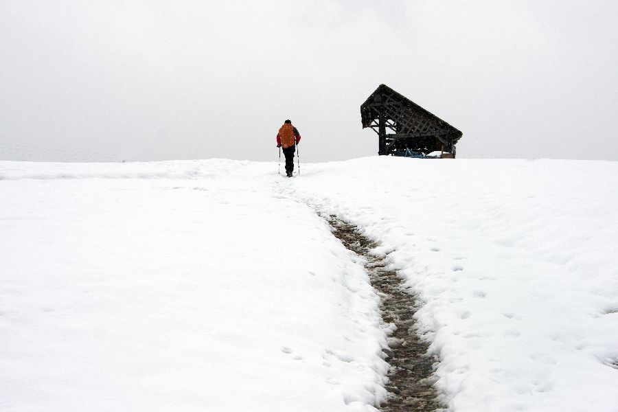 24. januar 13 - foto povečava