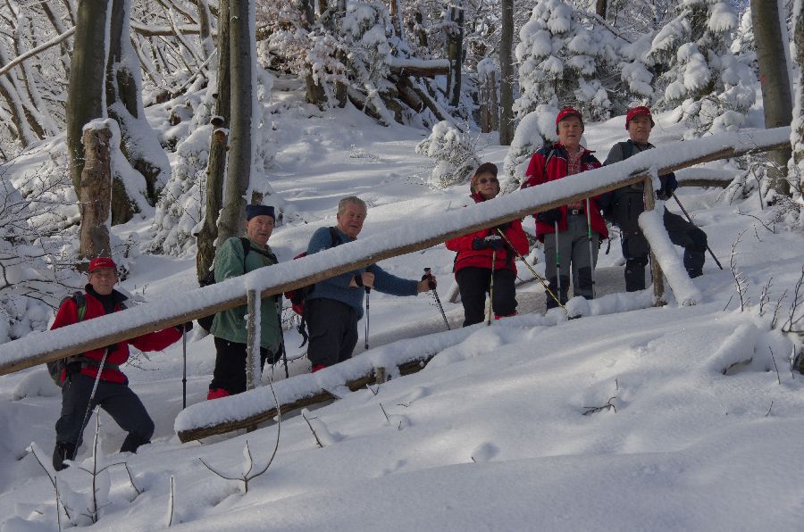 7. februar 13 - foto povečava