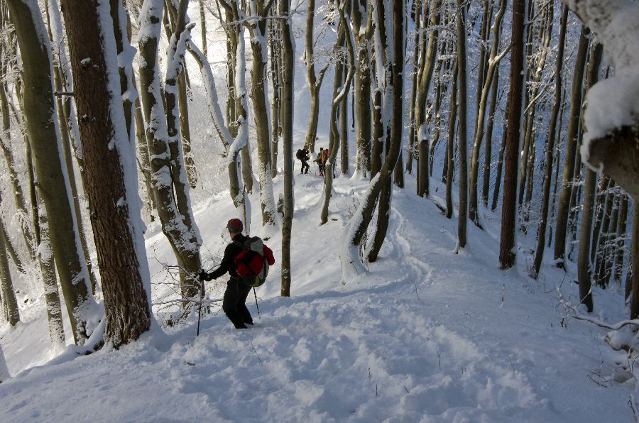 7. februar 13 - foto povečava