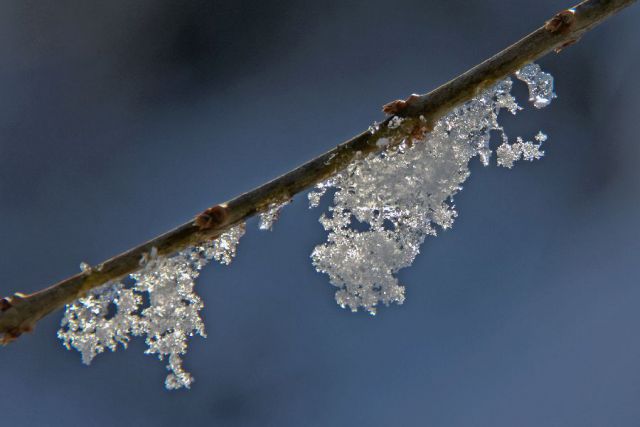 7. februar 13 - foto