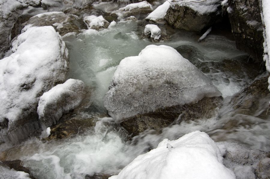 11. februar 13 - foto povečava