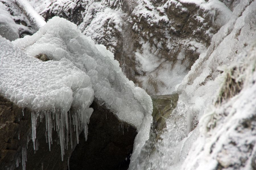 11. februar 13 - foto povečava