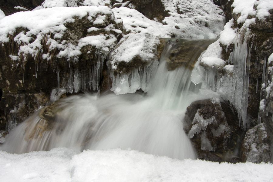 11. februar 13 - foto povečava