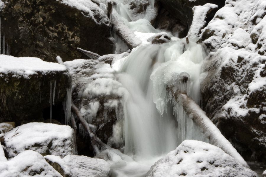 11. februar 13 - foto povečava