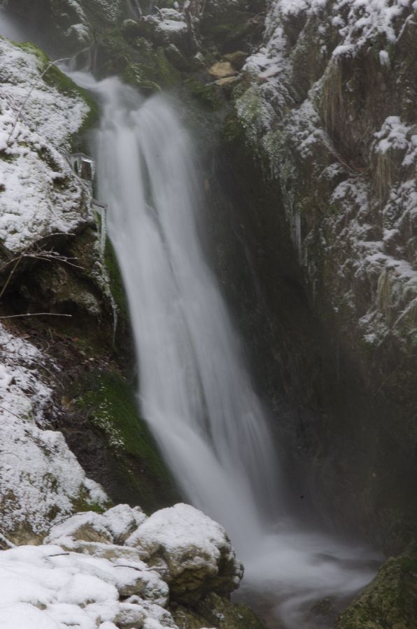 11. februar 13 - foto povečava