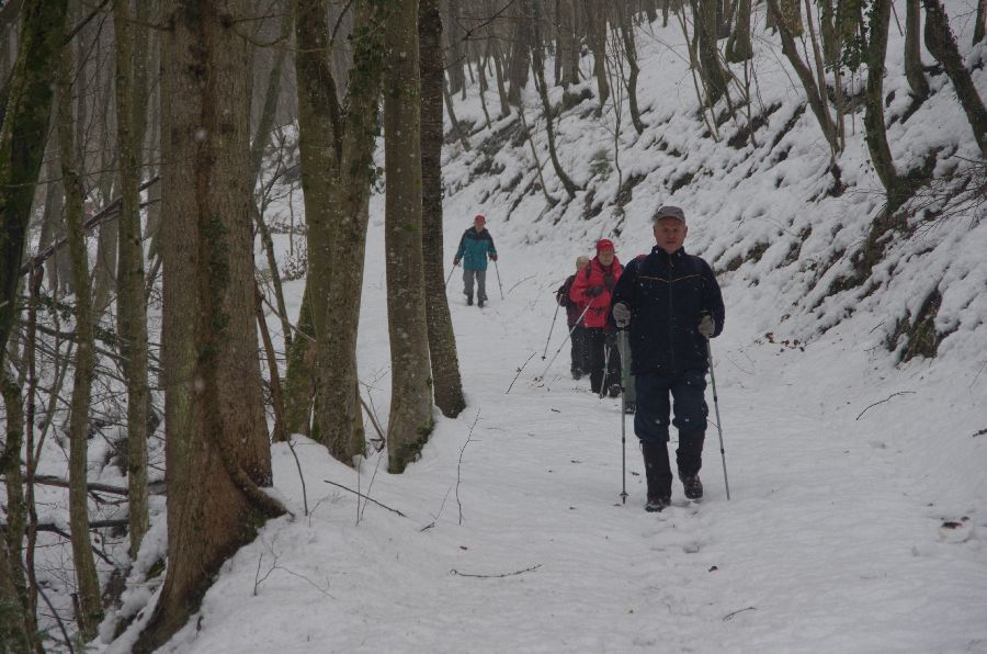 18. februar 13 - foto povečava